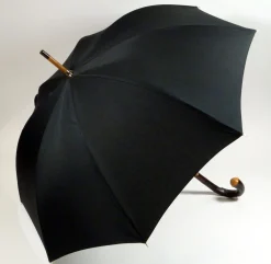 Guy De Jean Chataignier